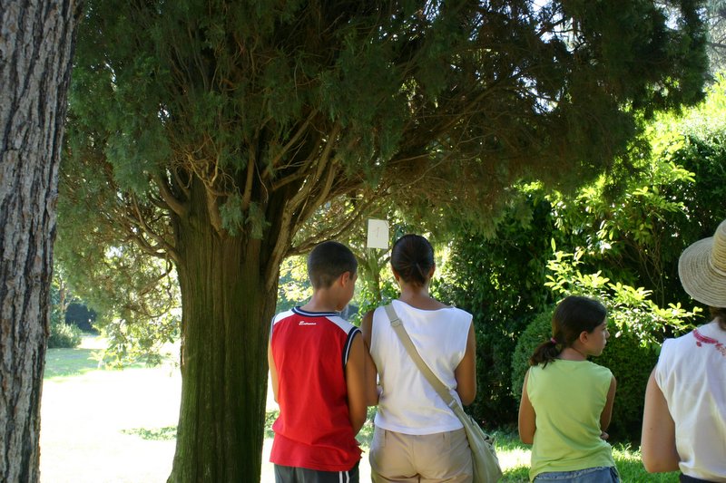 11 villa Giusti (4)