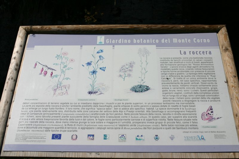 5 monte Corno (17)