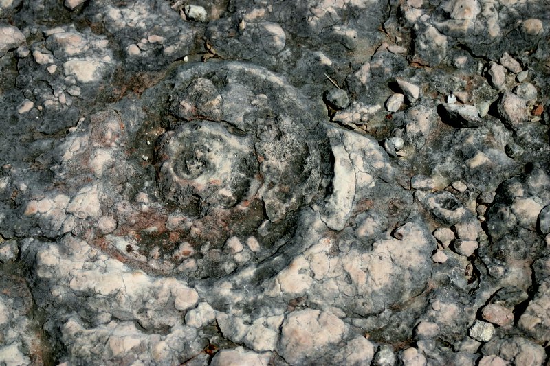 5 monte Corno (28)