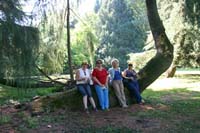 11 villa Giusti (20)