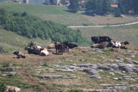 5 monte Corno (11)