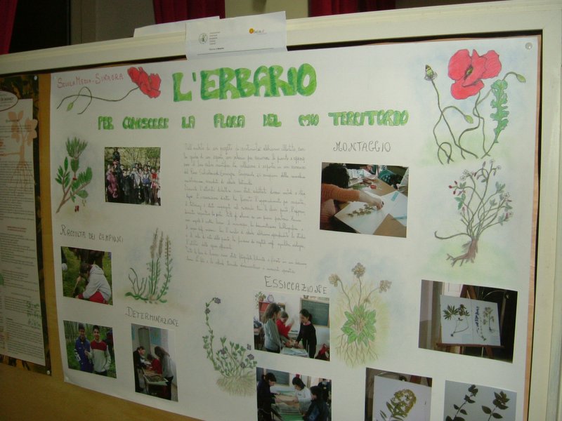 Ed al futuro (10)