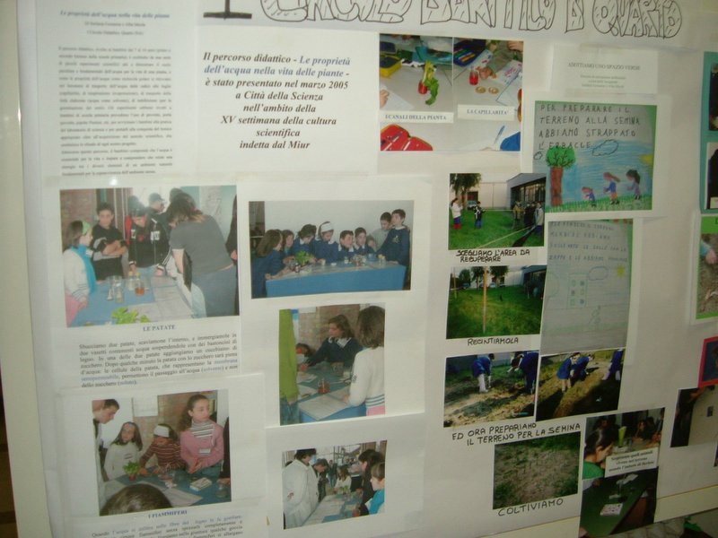 Ed al futuro (11)