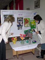 Arco felice (19)