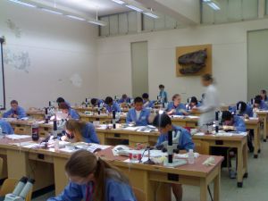 17072007153.JPG