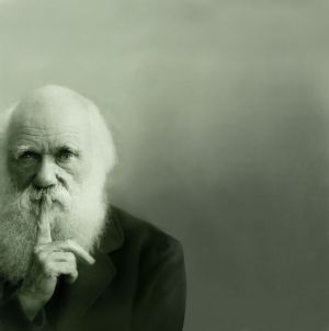 darwin-bg.jpg