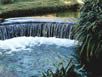 Oasi del lago presso il fiume Ninfa