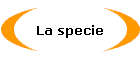 La specie