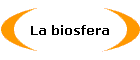 La biosfera