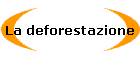 La deforestazione