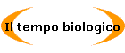 Il tempo biologico