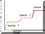 Formazione di nuove specie secondo la teoria degli equilibri punteggiati