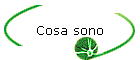 Cosa sono