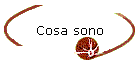 Cosa sono