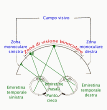 campovisivo.gif (41053 byte)