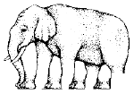 elephant.gif (5594 byte)