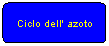 Elaborazione alternativa: Ciclo dell' azoto
a

