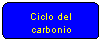 Elaborazione alternativa: Ciclo del carbonio
