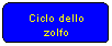 Elaborazione alternativa: Ciclo dello zolfo

