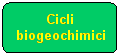 Elaborazione alternativa: Cicli biogeochimici
