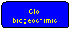 Elaborazione alternativa: Cicli biogeochimici
