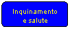 Elaborazione alternativa: Inquinamento e salute
