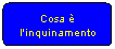 Elaborazione alternativa: Cosa  l'inquinamento
 

