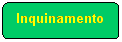 Elaborazione alternativa: Inquinamento
