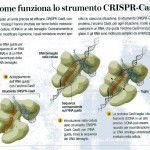 Il sistema CRISPR-Cas9