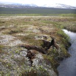 Scongelamento della tundra e variazioni climatiche