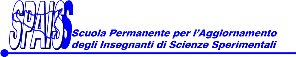 Seminari online SPAIS 2020/21 - Dal macro al micro... e ritorno