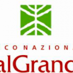 Corso specialistico sulle formiche