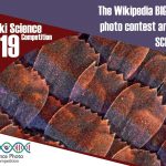 Wiki Science Competition 2019