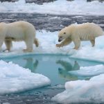 Mar Glaciale Artico senza ghiacci