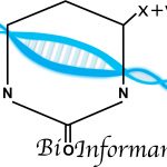 BioInformando: un nuovo progetto interdisciplinare per far incontrare biologia ed informatica nelle scuole superiori