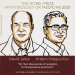 Nobel per la Fisiologia e Medicina, per la Fisica e per la Chimica 2021